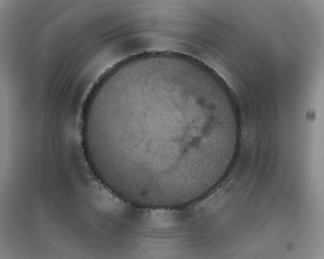 X0000094440832200711081246