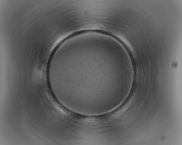 X0000094440834200711081246