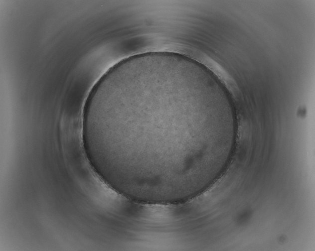 X0000094440836200711081247