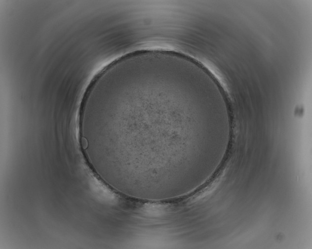 X0000094440840200711081247