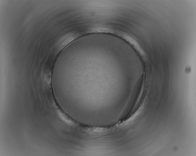 X0000094440841200711081247