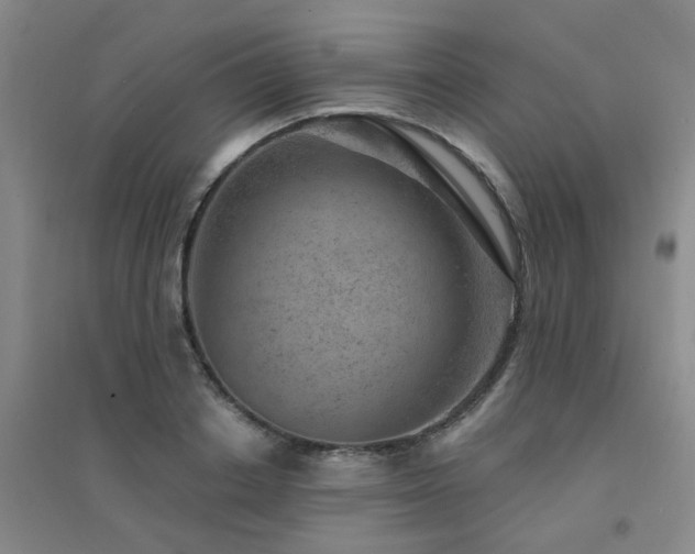 X0000094440842200711081247