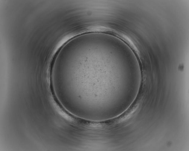 X0000094440843200711081247