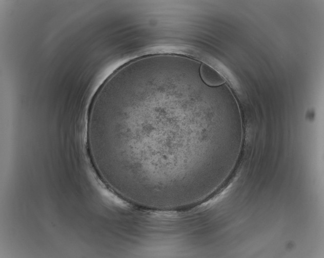 X0000094440844200711081247
