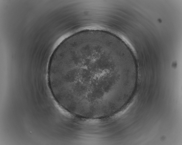 X0000094440845200711081247