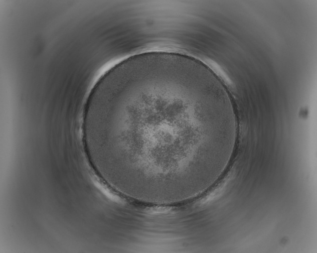 X0000094440846200711081247