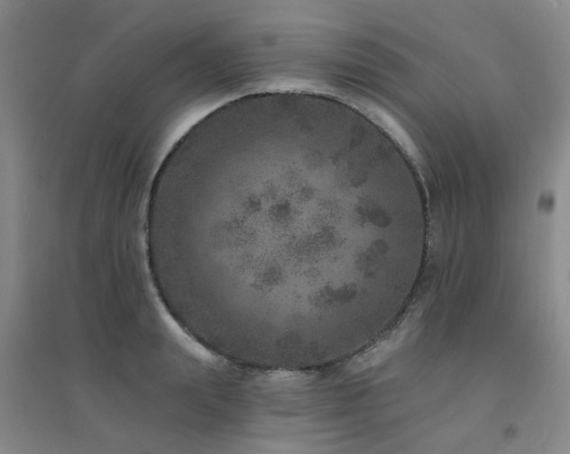 X0000094440847200711081247