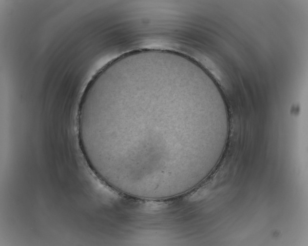 X0000094440848200711081247