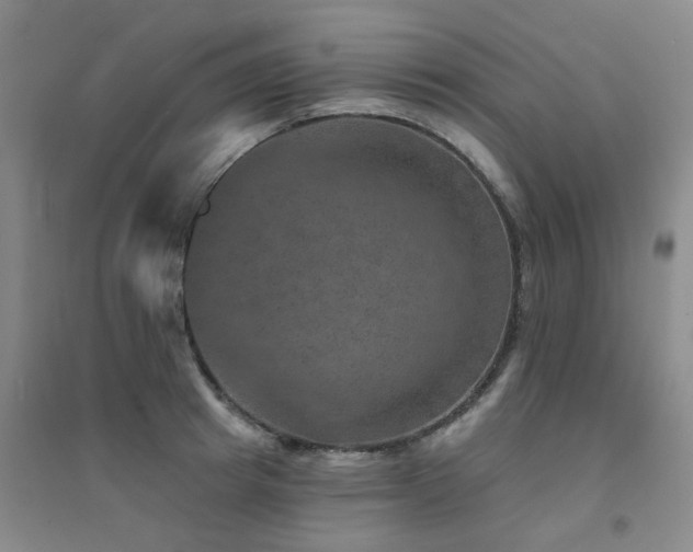 X0000094440849200711081247