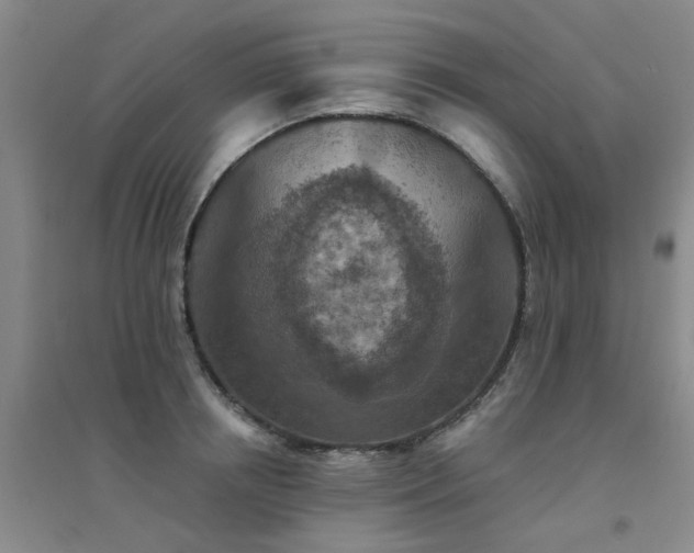 X0000094440850200711081247