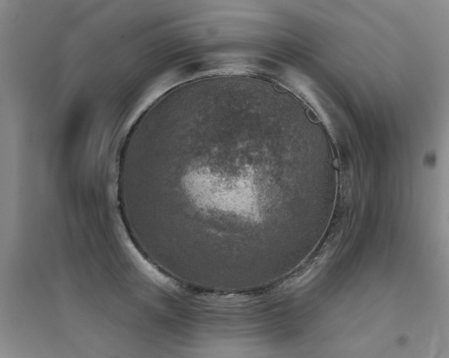 X0000094440851200711081247