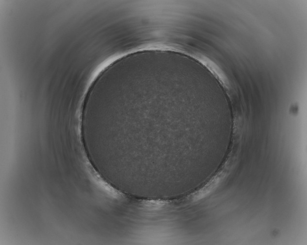 X0000094440854200711081247
