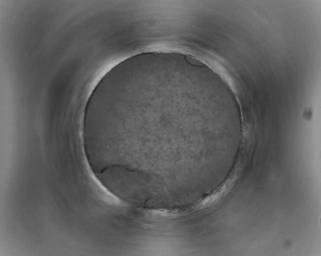 X0000094440855200711081247