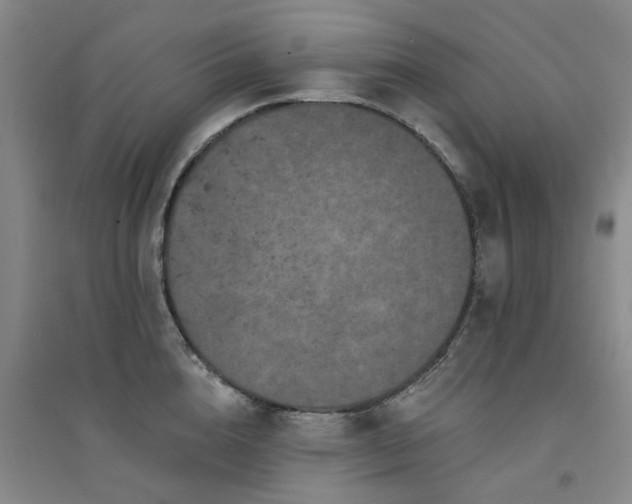 X0000094440856200711081247