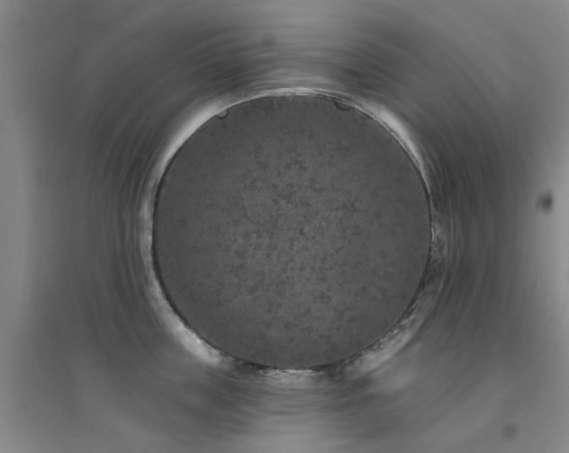X0000094440859200711081247
