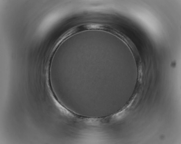 X0000094440861200711081247