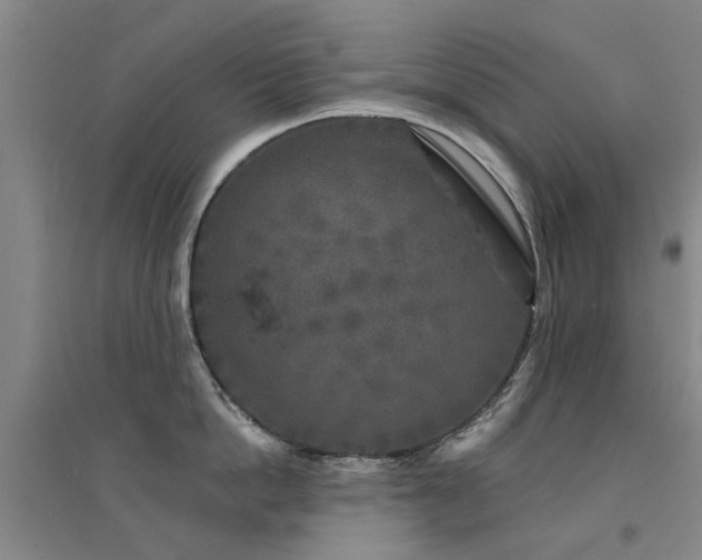 X0000094440862200711081247