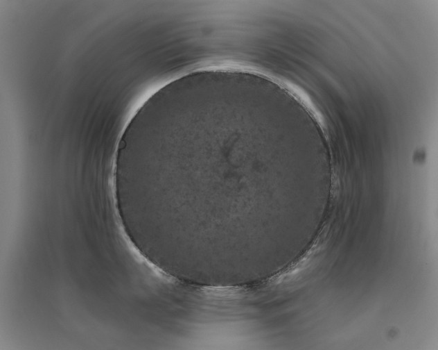 X0000094440863200711081247