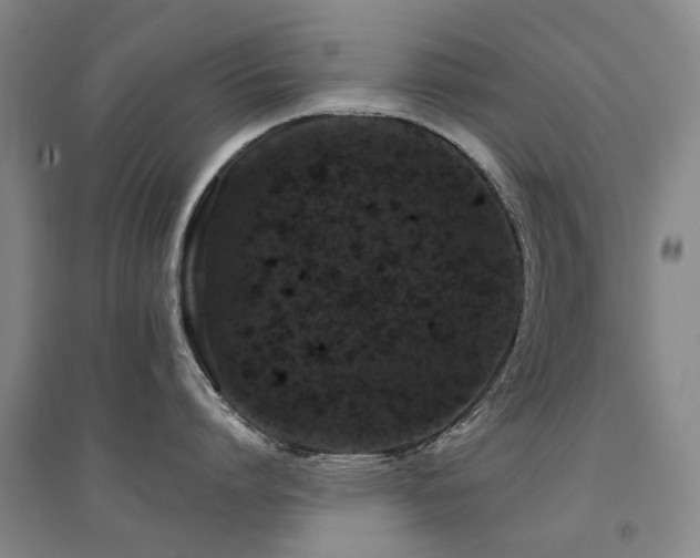 X0000094440864200711081247