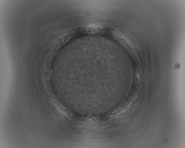 X0000094440865200711081246