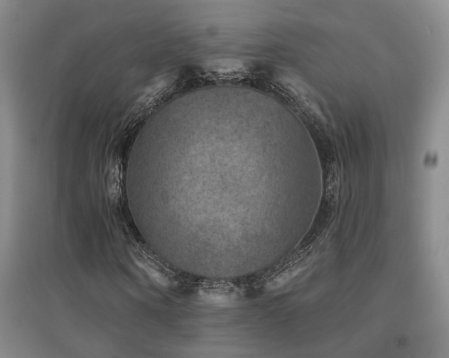X0000094440866200711081246