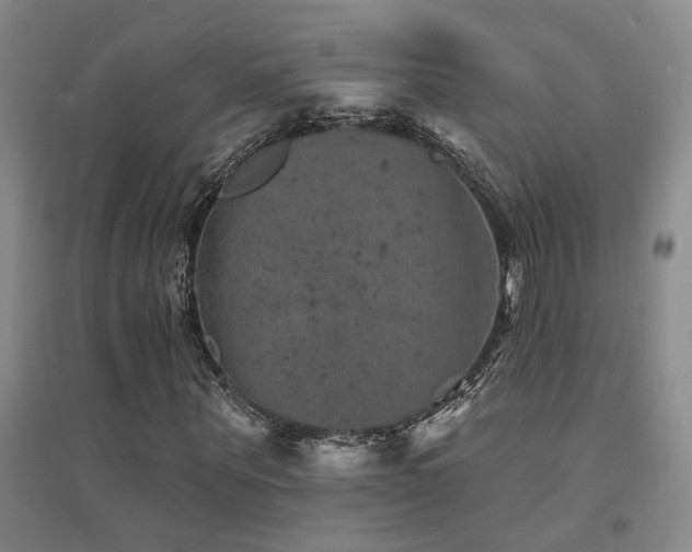 X0000094440867200711081246