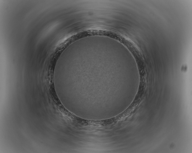 X0000094440870200711081246