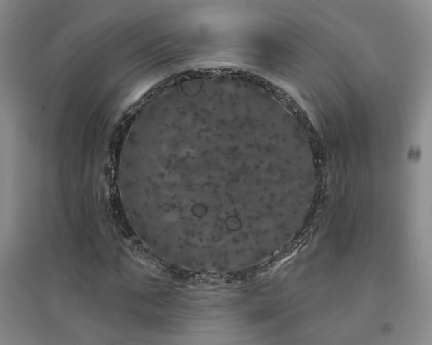 X0000094440871200711081246
