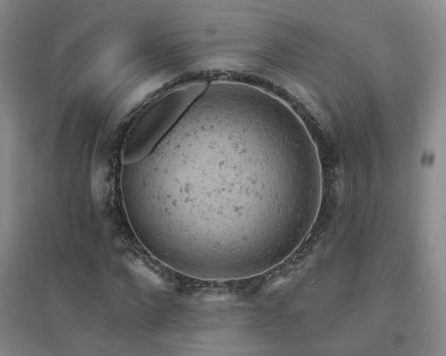 X0000094440872200711081246