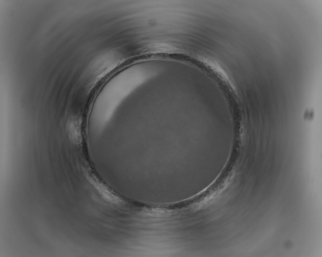 X0000094440873200711081246