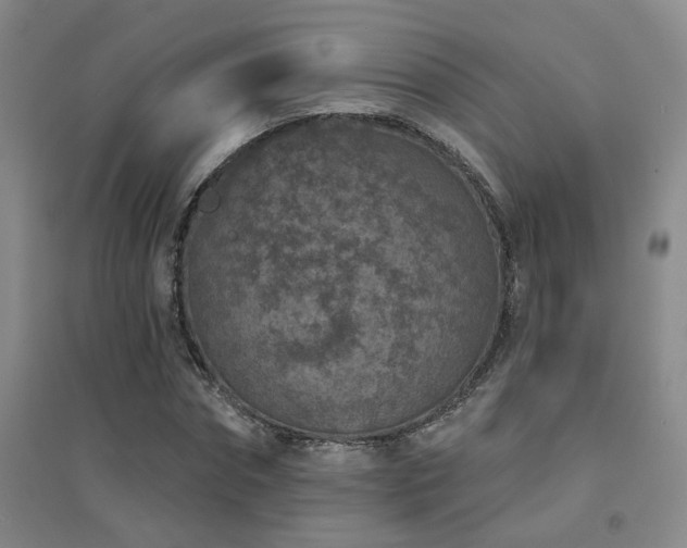 X0000094440874200711081246