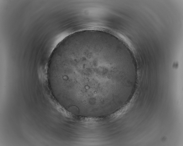 X0000094440875200711081246