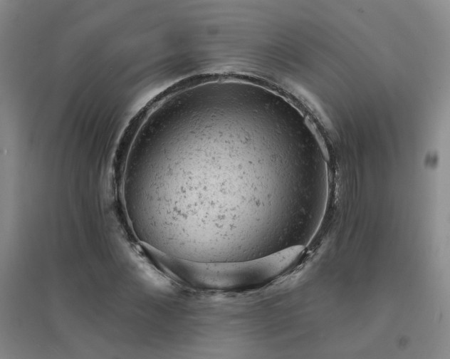 X0000094440876200711081246