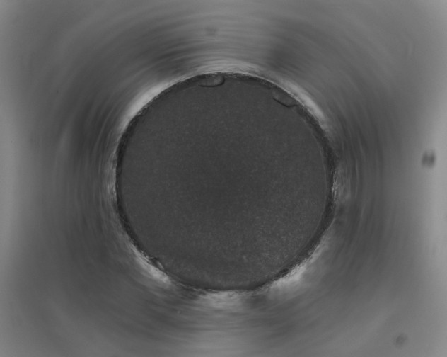 X0000094440877200711081246