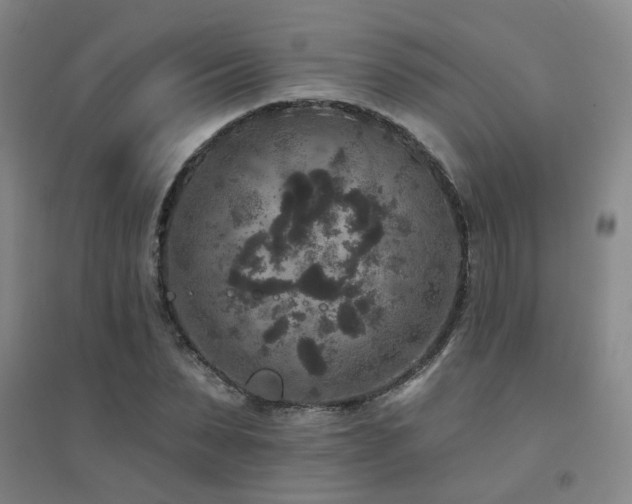 X0000094440879200711081246