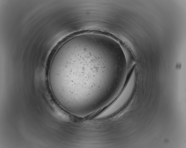 X0000094440880200711081246