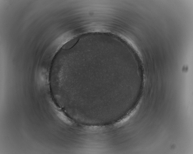 X0000094440881200711081246