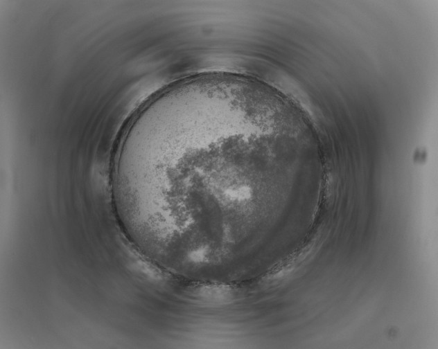 X0000094440882200711081246