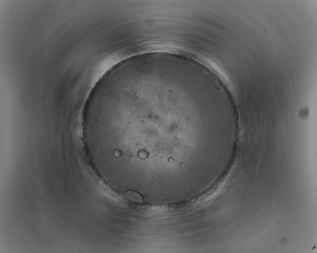 X0000094440883200711081246
