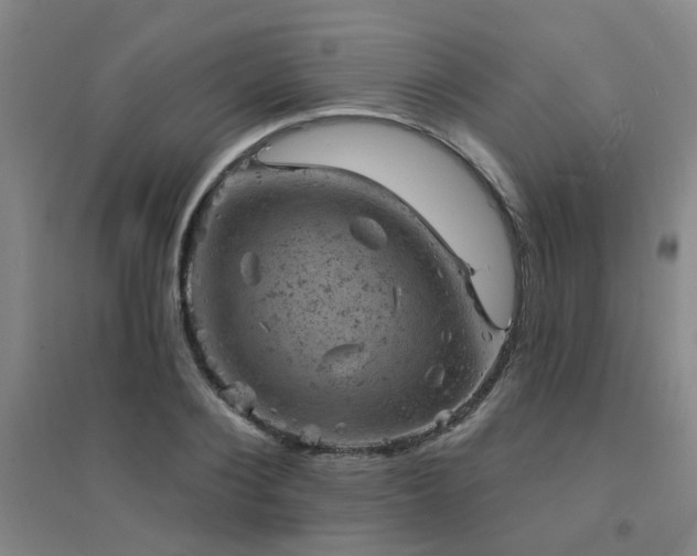 X0000094440884200711081246