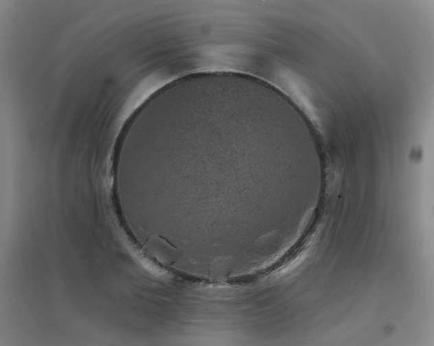 X0000094440885200711081246