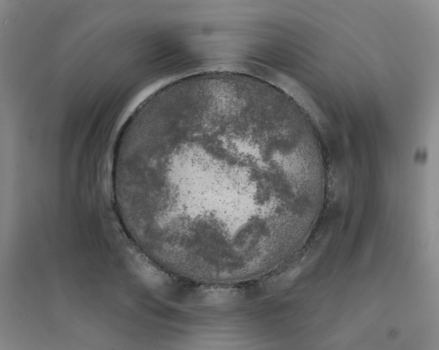 X0000094440886200711081246