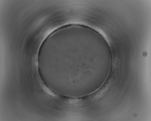 X0000094440887200711081246