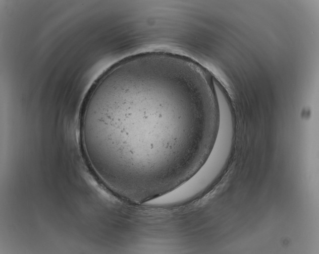 X0000094440888200711081246