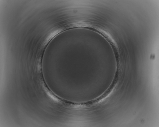 X0000094440889200711081246
