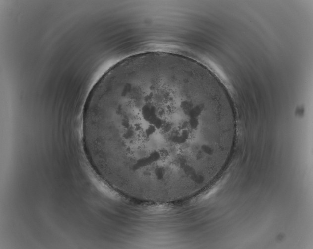 X0000094440891200711081246