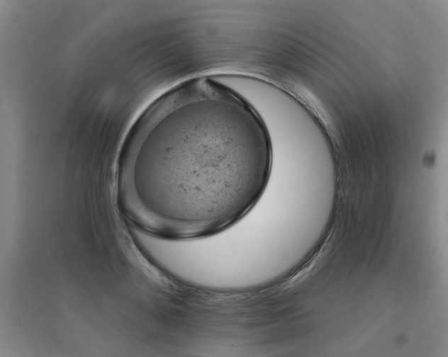 X0000094440892200711081246