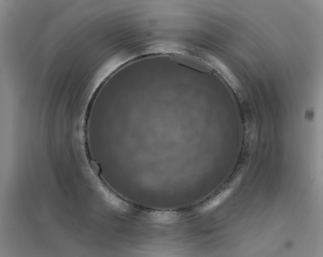 X0000094440893200711081246