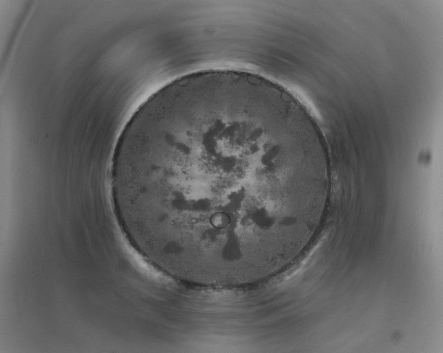 X0000094440895200711081246