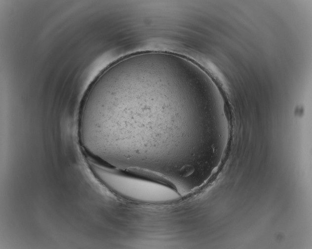 X0000094440896200711081246